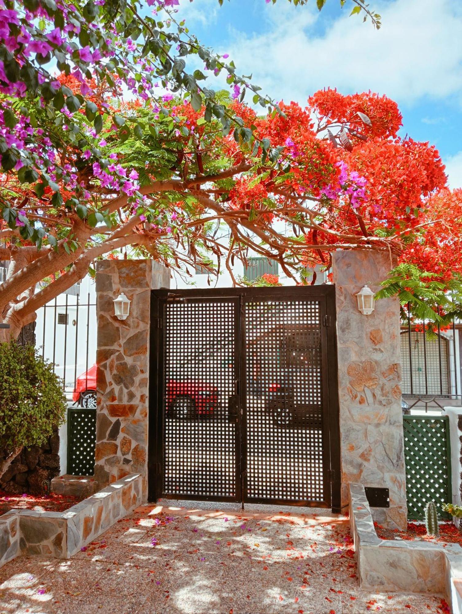 Apartamentos Las Acacias Puerto del Carmen  Bagian luar foto